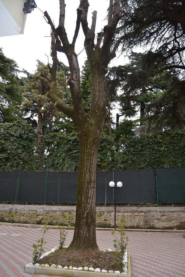 Porte Di Bologna Bagian luar foto